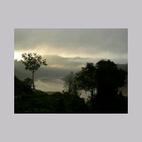 381 morning glory.JPG
